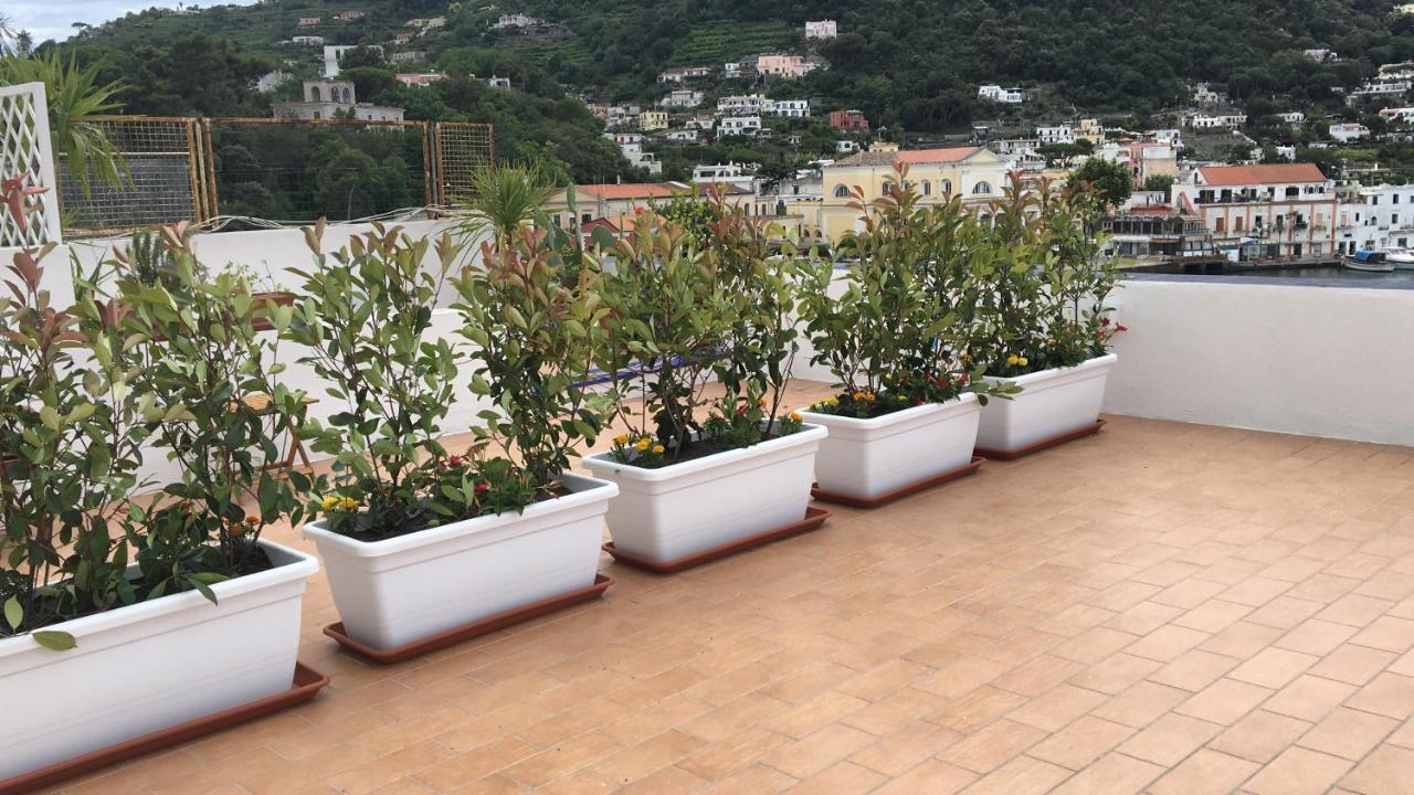 Panorama Da Cartolina Lägenhet Ischia Exteriör bild